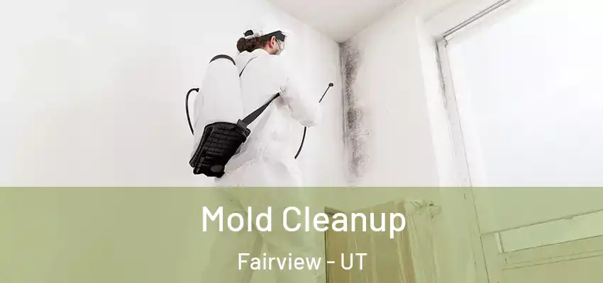 Mold Cleanup Fairview - UT