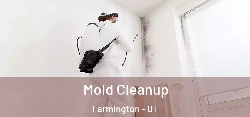 Mold Cleanup Farmington - UT