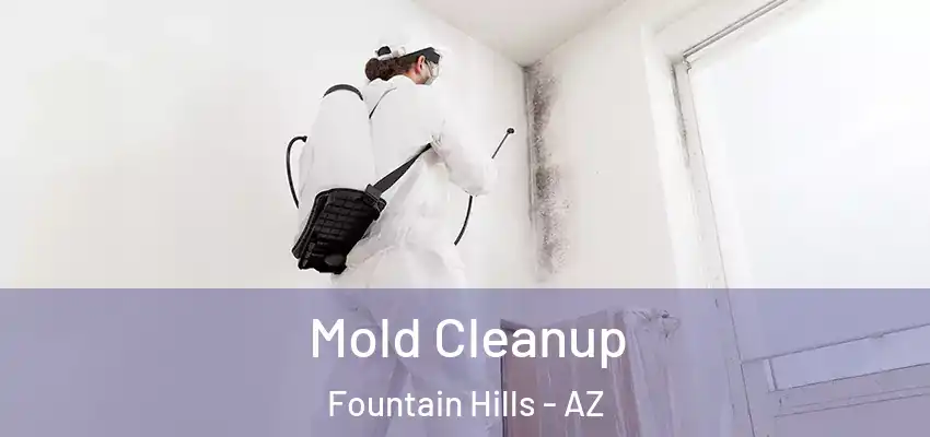  Mold Cleanup Fountain Hills - AZ