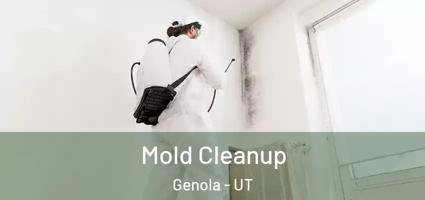 Mold Cleanup Genola - UT