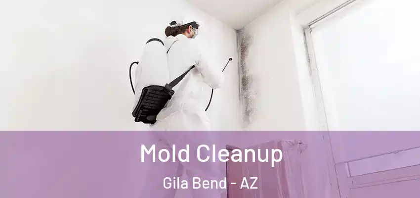  Mold Cleanup Gila Bend - AZ