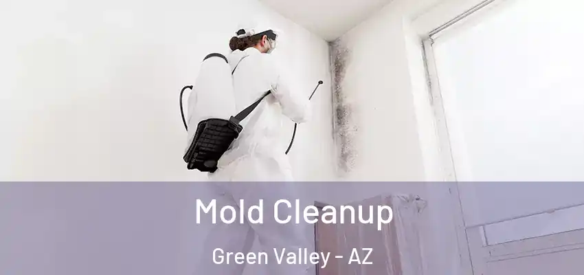 Mold Cleanup Green Valley - AZ