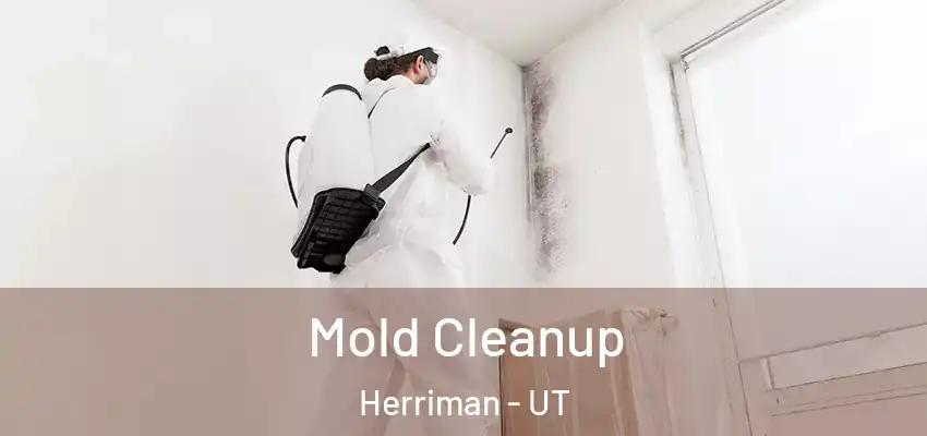 Mold Cleanup Herriman - UT