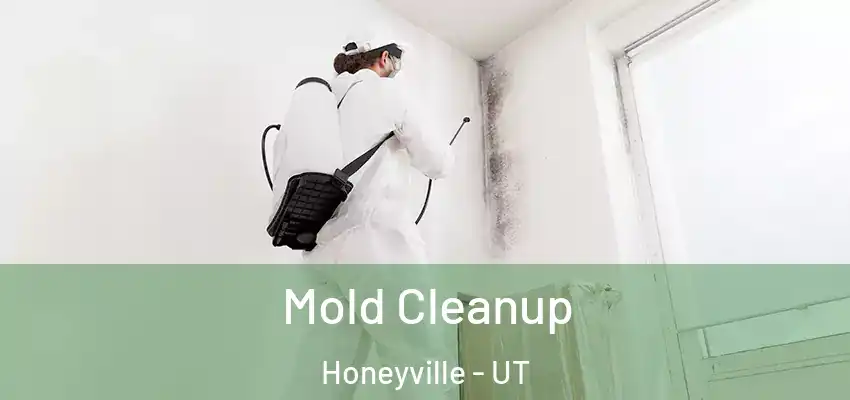  Mold Cleanup Honeyville - UT