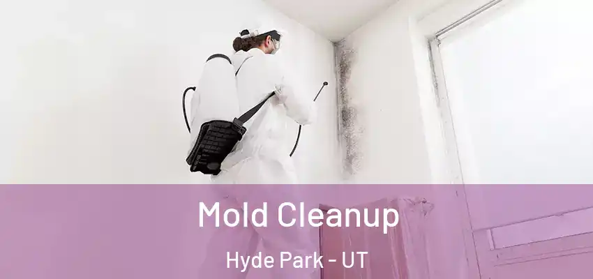  Mold Cleanup Hyde Park - UT