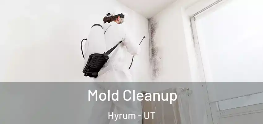  Mold Cleanup Hyrum - UT