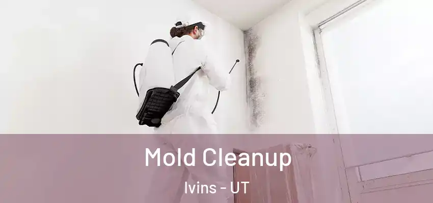 Mold Cleanup Ivins - UT