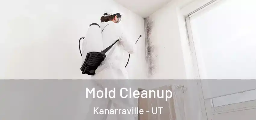  Mold Cleanup Kanarraville - UT