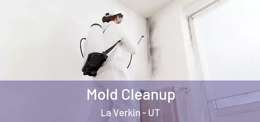  Mold Cleanup La Verkin - UT