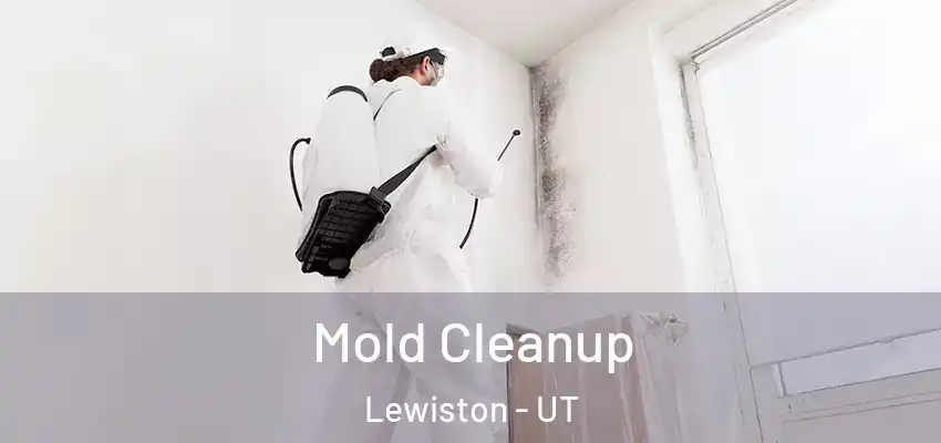  Mold Cleanup Lewiston - UT