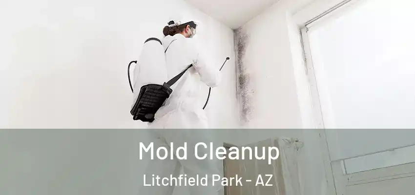 Mold Cleanup Litchfield Park - AZ