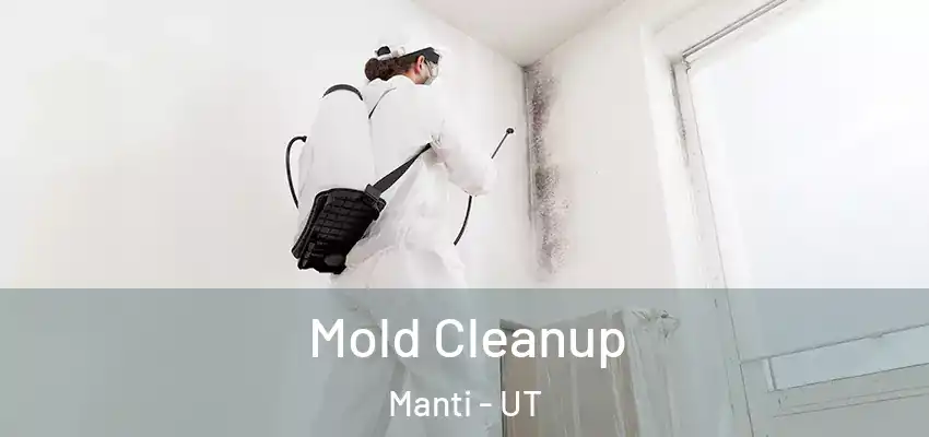 Mold Cleanup Manti - UT