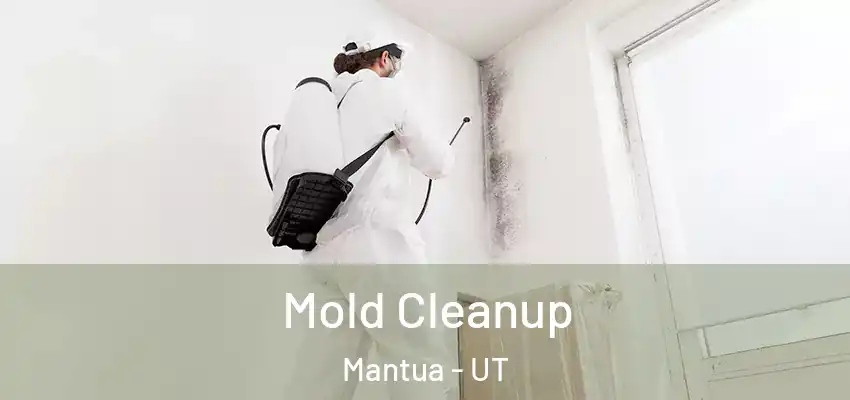  Mold Cleanup Mantua - UT