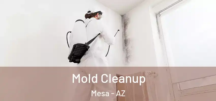 Mold Cleanup Mesa - AZ