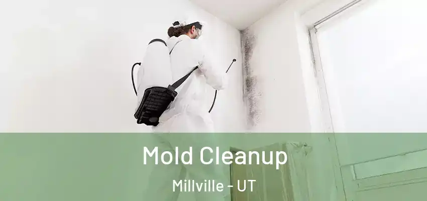  Mold Cleanup Millville - UT