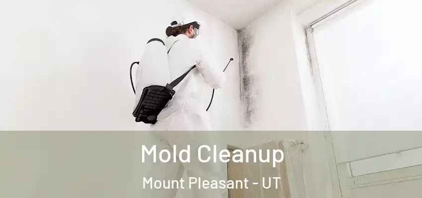Mold Cleanup Mount Pleasant - UT