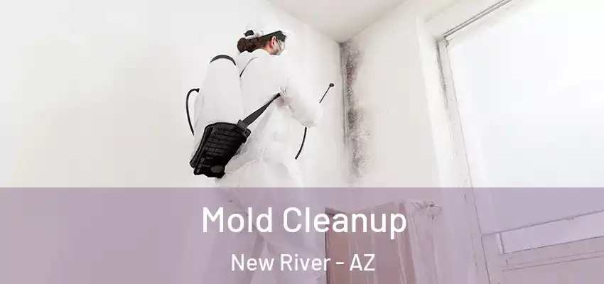 Mold Cleanup New River - AZ