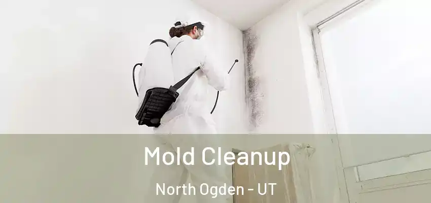  Mold Cleanup North Ogden - UT