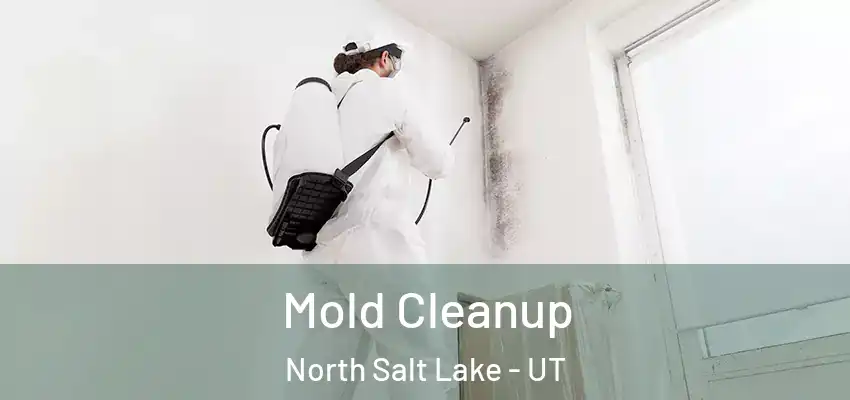 Mold Cleanup North Salt Lake - UT