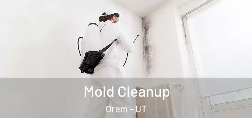 Mold Cleanup Orem - UT