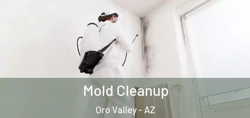  Mold Cleanup Oro Valley - AZ