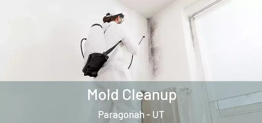  Mold Cleanup Paragonah - UT