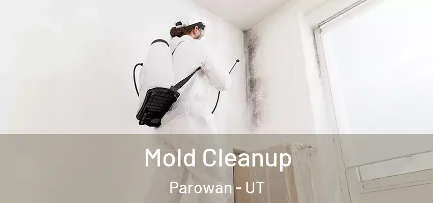Mold Cleanup Parowan - UT