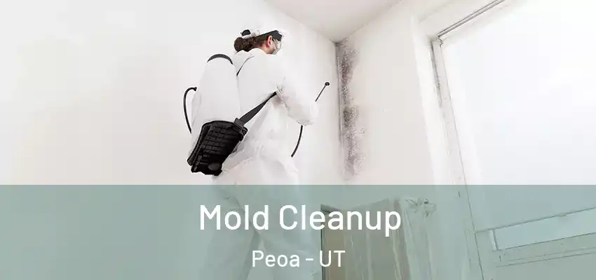 Mold Cleanup Peoa - UT