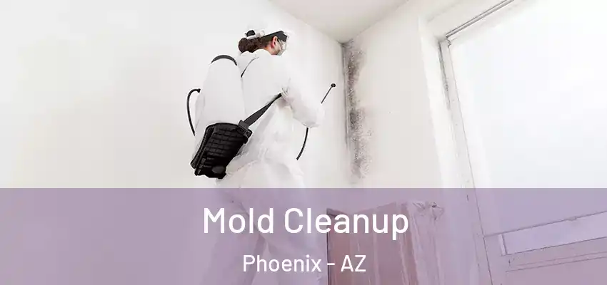 Mold Cleanup Phoenix - AZ