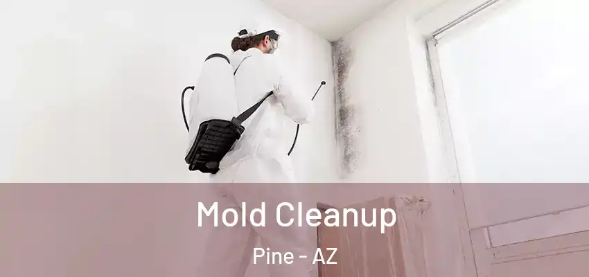 Mold Cleanup Pine - AZ