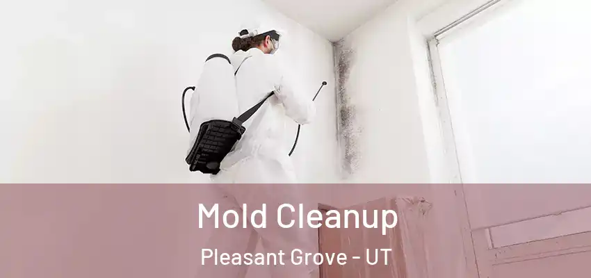  Mold Cleanup Pleasant Grove - UT