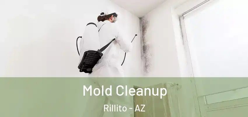  Mold Cleanup Rillito - AZ