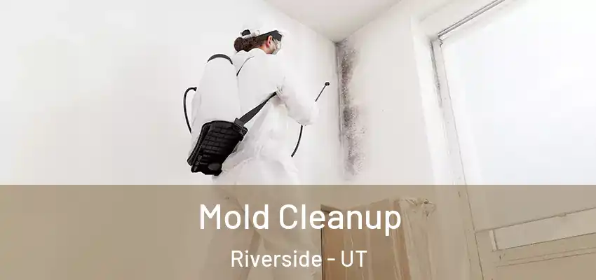  Mold Cleanup Riverside - UT