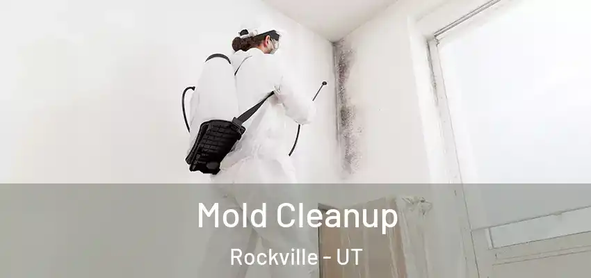 Mold Cleanup Rockville - UT
