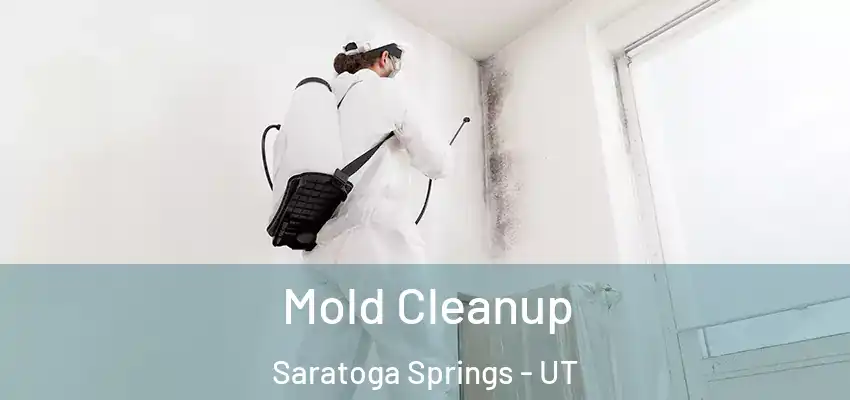  Mold Cleanup Saratoga Springs - UT