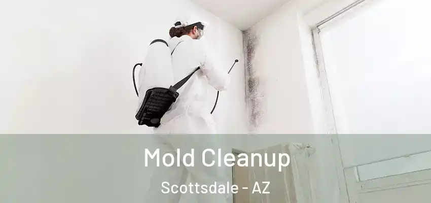  Mold Cleanup Scottsdale - AZ