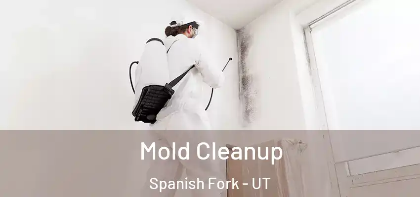 Mold Cleanup Spanish Fork - UT