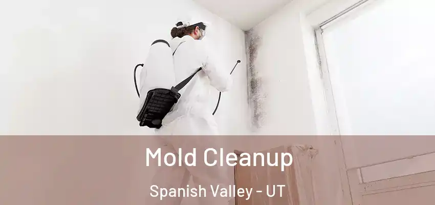  Mold Cleanup Spanish Valley - UT