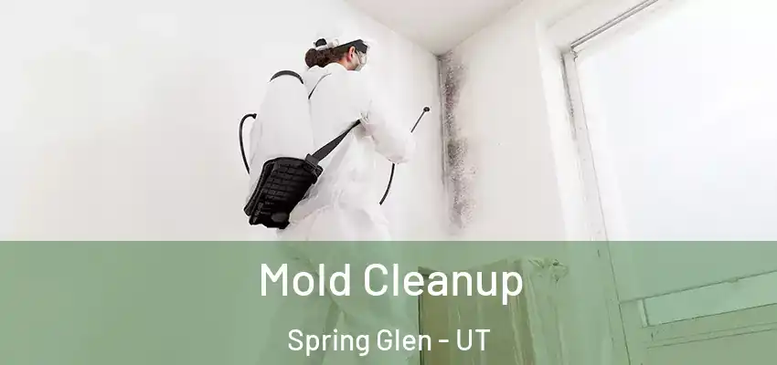 Mold Cleanup Spring Glen - UT