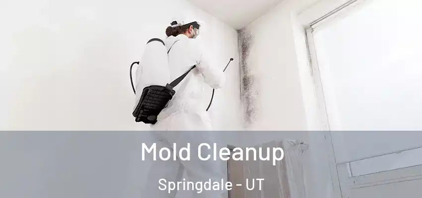 Mold Cleanup Springdale - UT