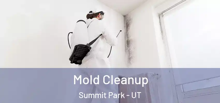 Mold Cleanup Summit Park - UT