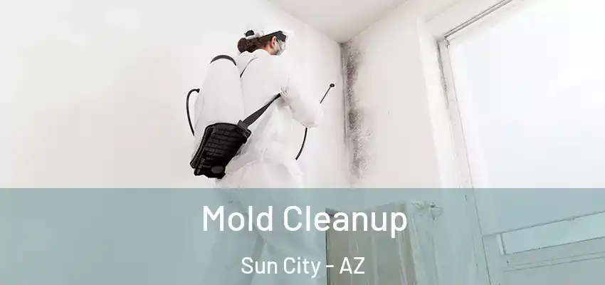 Mold Cleanup Sun City - AZ