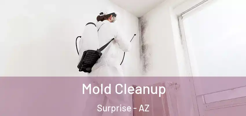 Mold Cleanup Surprise - AZ