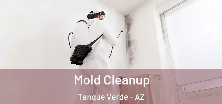 Mold Cleanup Tanque Verde - AZ