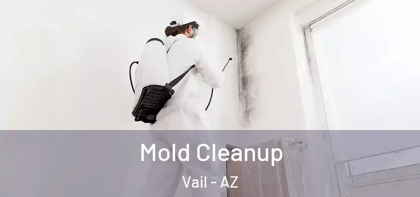 Mold Cleanup Vail - AZ