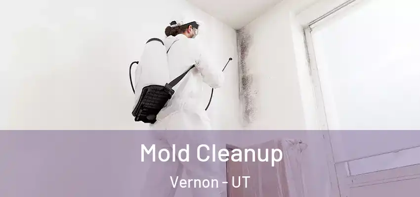 Mold Cleanup Vernon - UT