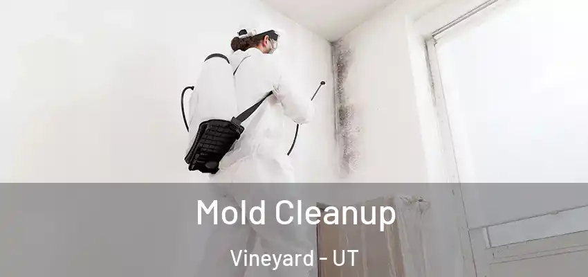 Mold Cleanup Vineyard - UT
