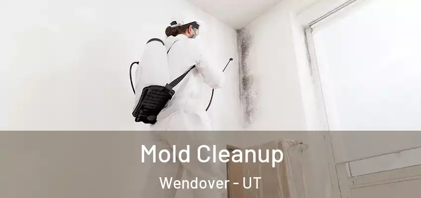 Mold Cleanup Wendover - UT