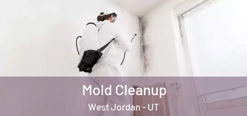 Mold Cleanup West Jordan - UT