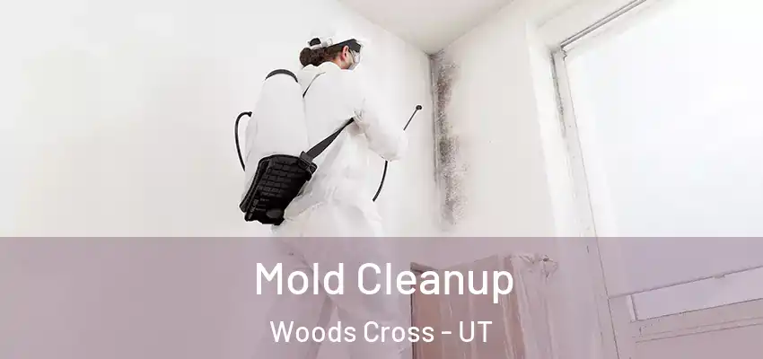 Mold Cleanup Woods Cross - UT